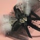 Embellished Feather & Bow Headband - Thumbnail 1