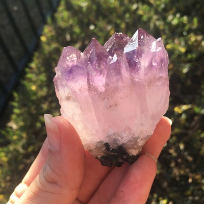 Amethyst flower cluster 