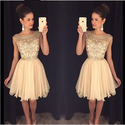 Champagne Homecoming Dress,Short Prom Gown,Tulle Homecoming Gowns - 116