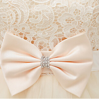 Homecoming Dress,Lace Homecoming Dresses,Short Prom Gown,Champagne Homecoming Gowns,2017 Homecoming Dress - 208 - Thumbnail 2