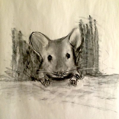 Mouse fitzgerald presents: living like a mouse