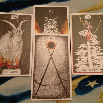 The cone of shame - Thumbnail 2