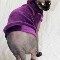 Jewel Of Denial - Thumbnail 1