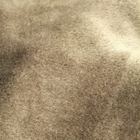 Army Of One - Thumbnail 3