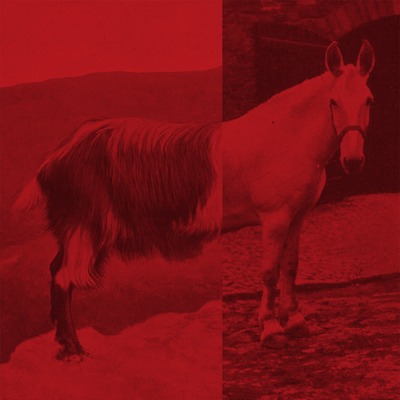 Rgf-064 the priceduifkes - "goathorse" lp