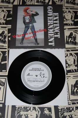 Extinct Government "When was the Feeling Born?" 7" 