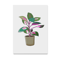Plant Series2, plant, green, digital, illustration, art print - Thumbnail 4