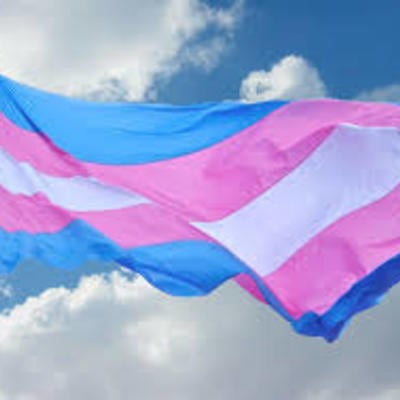 Transgender flag 3x5 foot - Thumbnail 4