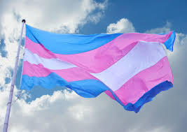 Transgender Flag 3x5 foot