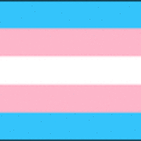 Transgender Flag 3x5 foot - Thumbnail 1