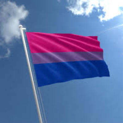 Bi-sexual flag 3x5 - Thumbnail 1