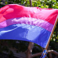 Bi-sexual Flag 3x5 - Thumbnail 1