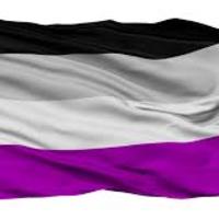 Asexual Flag 3x5 - Thumbnail 1
