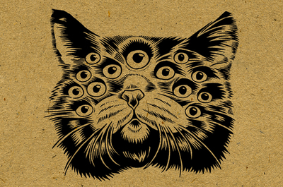 13 eyed cat postcard