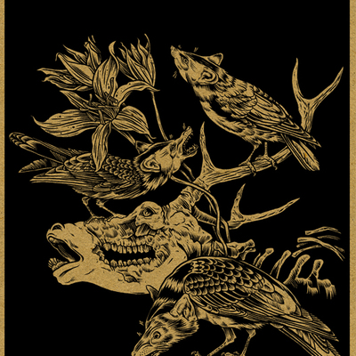 Wolf birds - Thumbnail 1