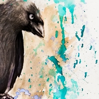 Protective Crow - Thumbnail 1