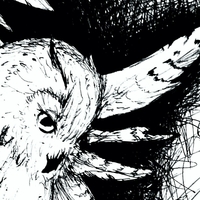 owl in flight - Thumbnail 1