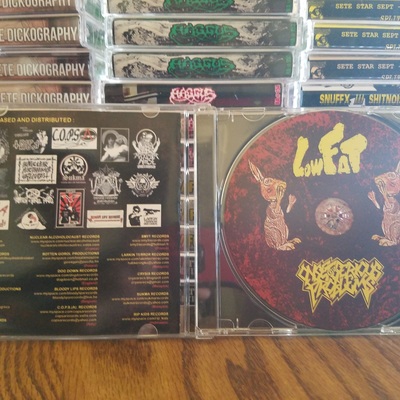 Lowfat/onset of serious problems - split cd