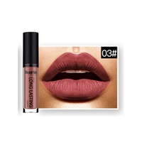 12 Colors Waterproof Matte Liquid Lipstick Waterproof  Lipgloss Lipstick Lip Beauty cosmetic - Thumbnail 3