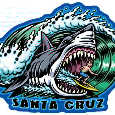 Santa cruz shark magnet