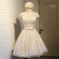 Charming A-line lace short prom dress, homecoming dresses - Thumbnail 1