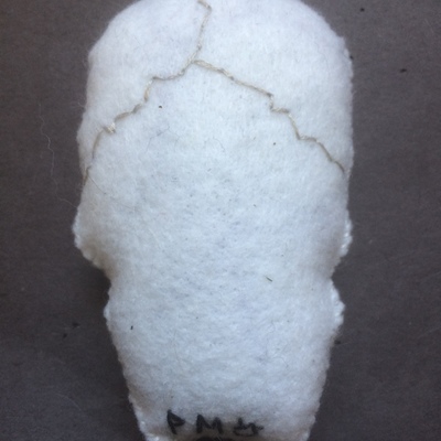 'the skull' custom catnip toy!