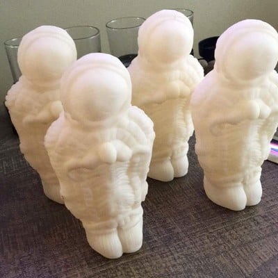 The paleonaut - by kjelshus collins