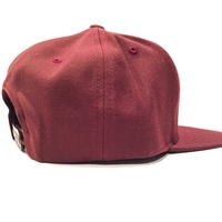 Burgundy SnapBack-Classic Logo w/vision statement  - Thumbnail 1