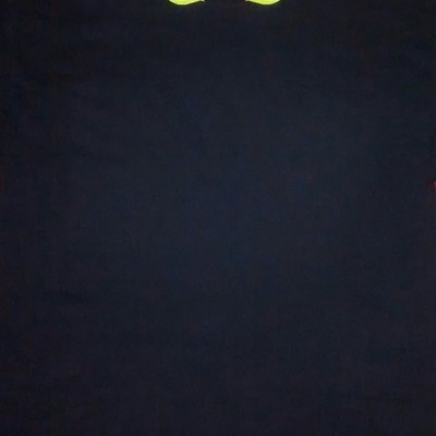 N$e no$lacknent. (black,lime green&flamered) business shirt.