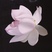 Immersive lotus – the premium designer eco mat/towel combination yoga mat with raw hemp yoga strap - Thumbnail 2