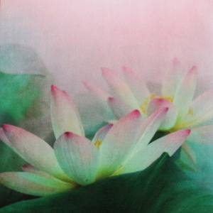 Altruistic lotus the premium eco mat/towel combination yoga mat - Thumbnail 2