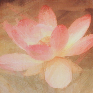 Striking lotus the premium eco mat/towel combination yoga mat - Thumbnail 2