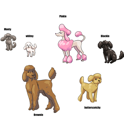 The poodles of potter's peak