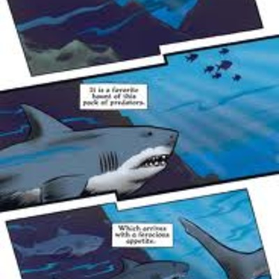 Xoc: the journey of the great white