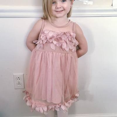 Kaylee pink petal dress