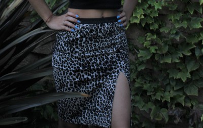 Leopard Skirt