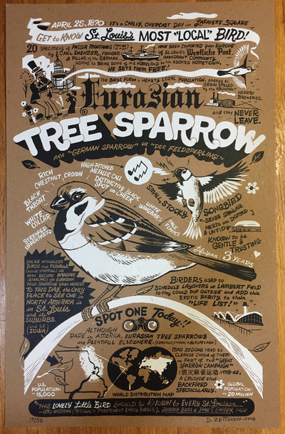 Eurasian Tree Sparrow