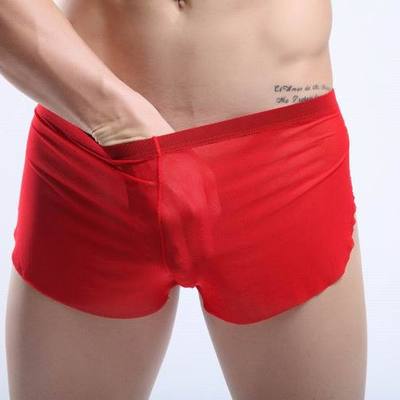 Men's sexy underwear transparent mesh gauze breathable boxer briefs #m14-3