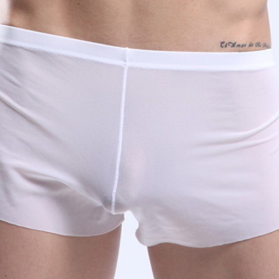 White men's sexy underwear transparent mesh gauze breathable boxer briefs #m14-3