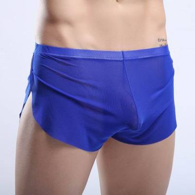 Blue men's sexy underwear transparent mesh gauze breathable boxer briefs #m14-3