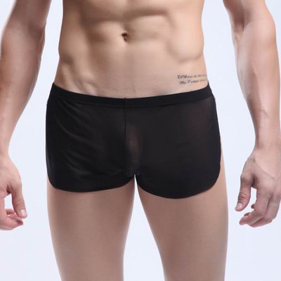 Black men's sexy underwear transparent mesh gauze breathable boxer briefs #m14-3