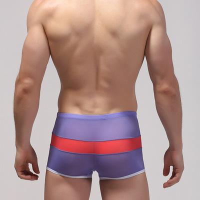 Purple men's sexy underwear transparent mesh gauze boxer briefs underpants #b010