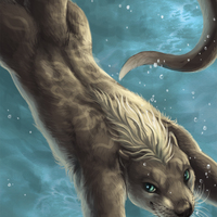 Dive 8 x 10 Matted Print - Thumbnail 1