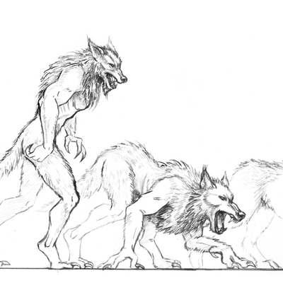 Man to wolf concept - sirion's journal interior  published illustration artwork shadow over shandahar 