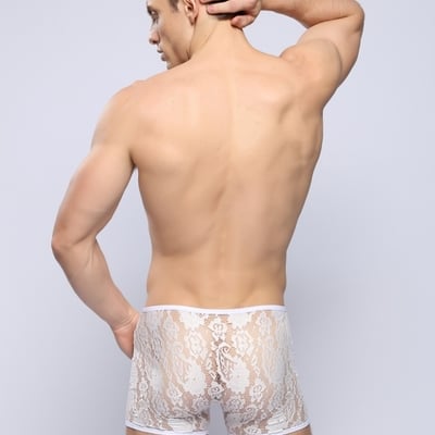 3pk white lace transparent men's sexy underwear boxer briefs underpants #bd108