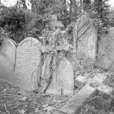 Misc - graveyard dirt - Thumbnail 5