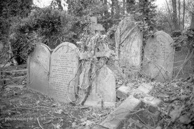 Misc - Graveyard Dirt