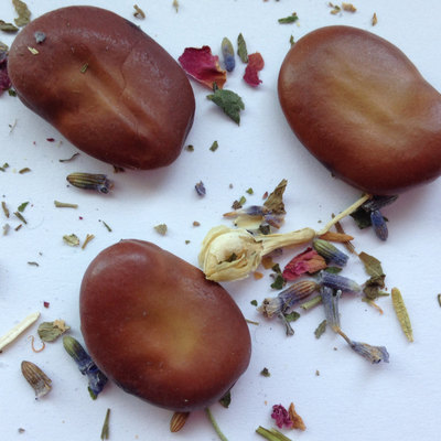 Misc - mojo wish beans - Thumbnail 3