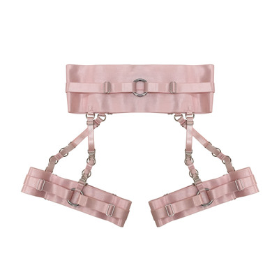 Fentai garter belt ( pink + silver )
