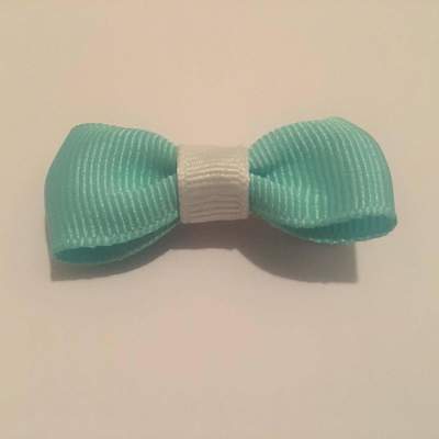 Mint and white clippie set